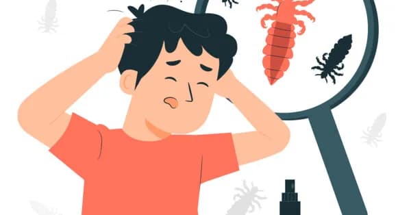 Wszy sennik znaczenie: co oznaczają twoje sny o wszach?